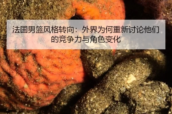 法国男篮风格转向：外界为何重新讨论他们的竞争力与角色变化